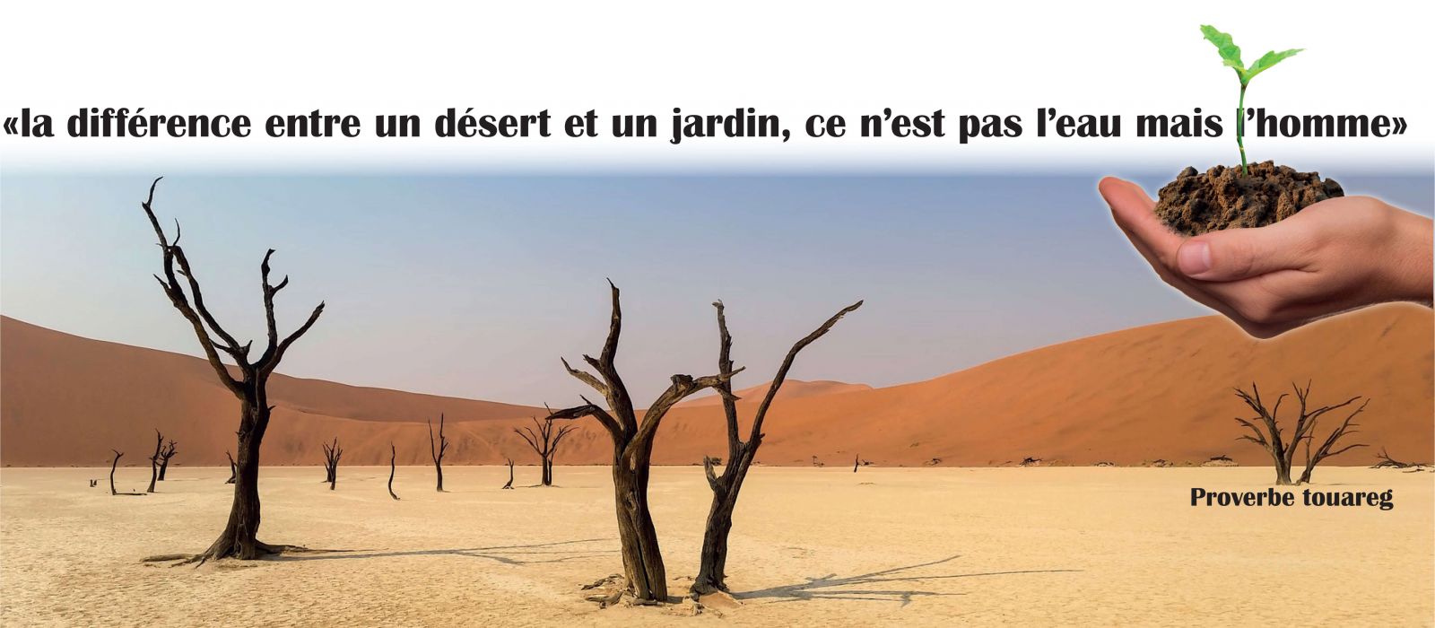 Â«la diffÃ©rence entre un dÃ©sert et un jardin, ce nâest pas lâeau mais lâhommeÂ» proverbe touareg appliquÃ© en entreprise